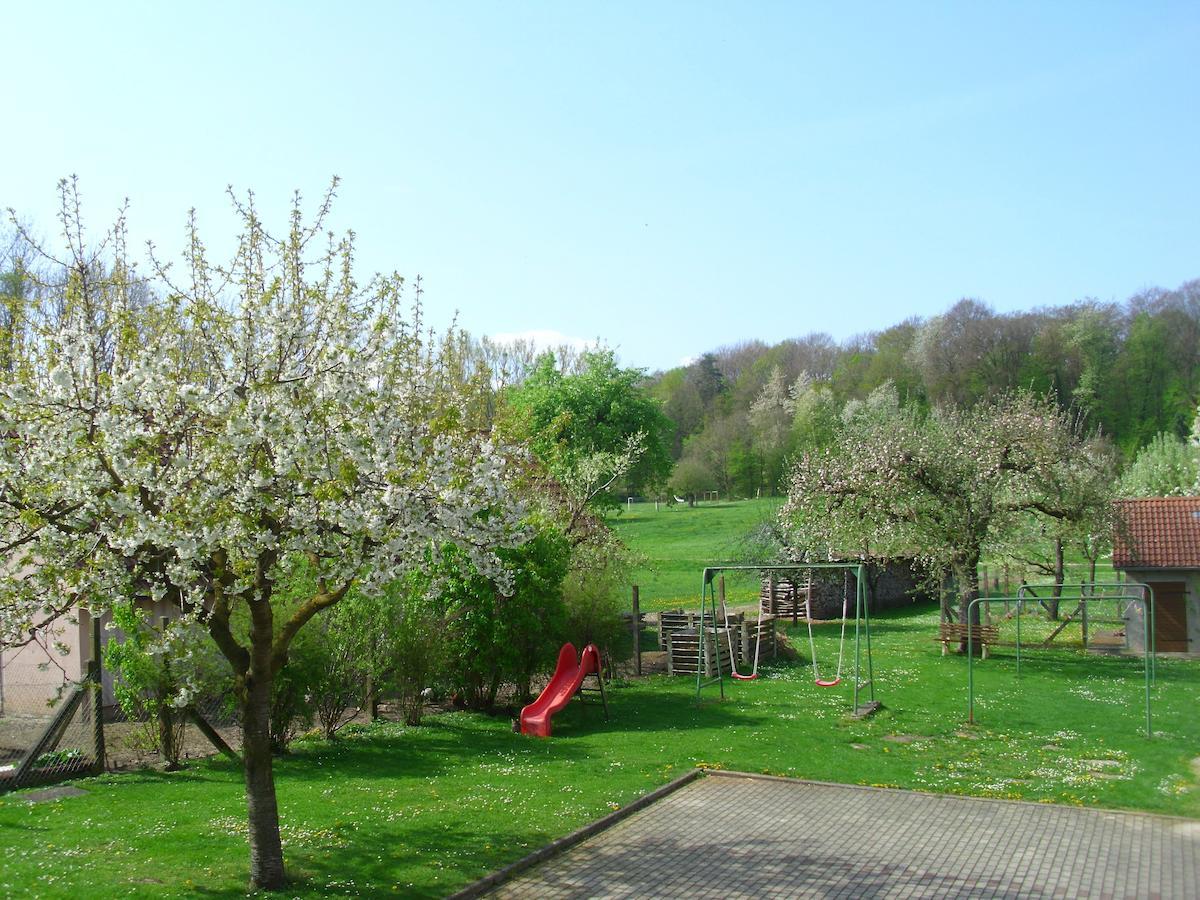 Reichardsroth Gasthof Zur Frohen Einkehr מראה חיצוני תמונה